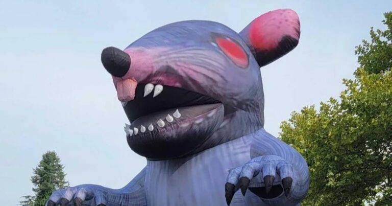 Die riesige aufblasbare Gewerkschafts-Ratte vor dem Bethesda-Gebäude als Protestsymbol gegen Entlassungen