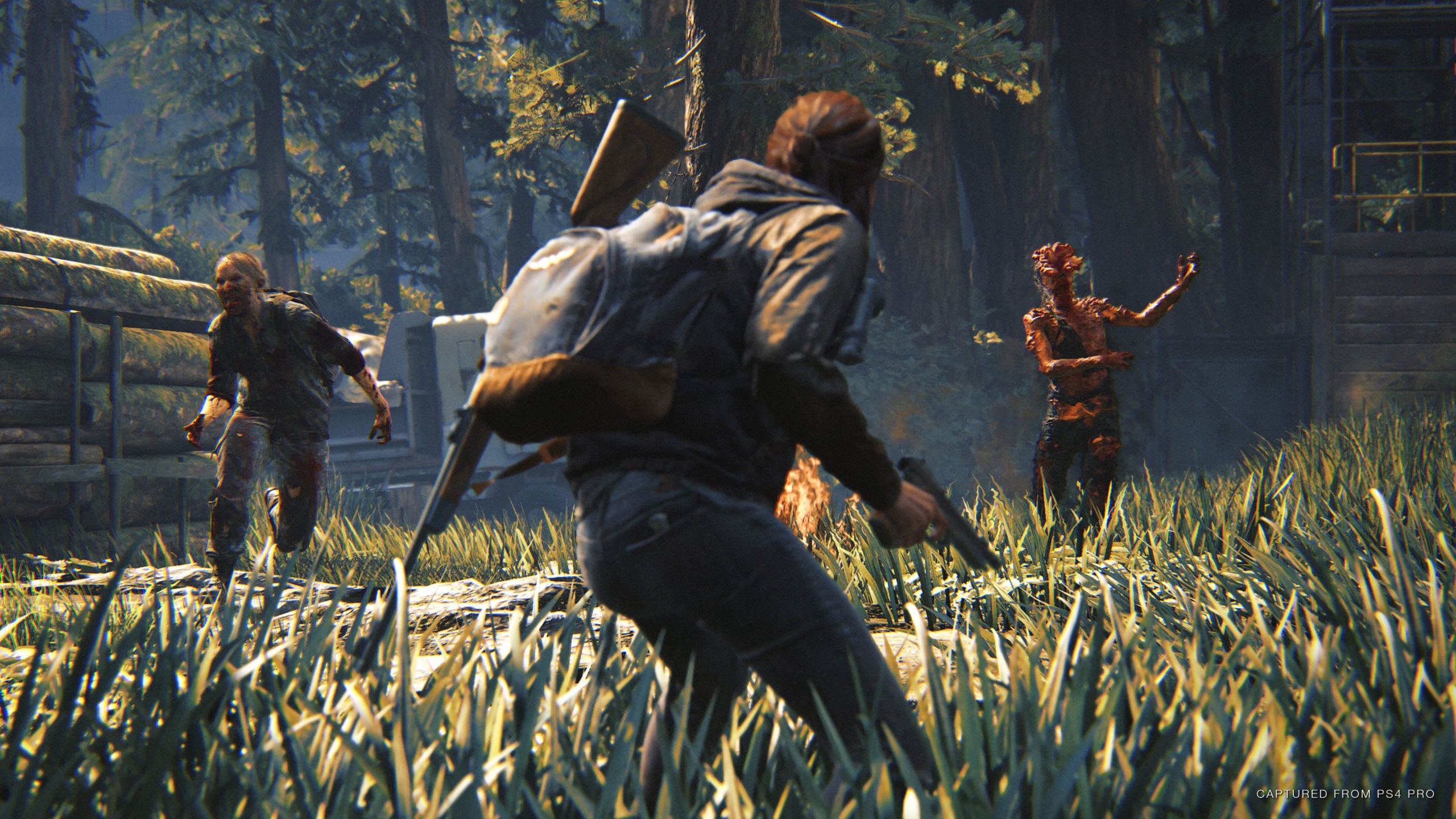 A scene from The Last of Us Part 2, whose unofficial multiplayer mod is being discontinued at Sony's request