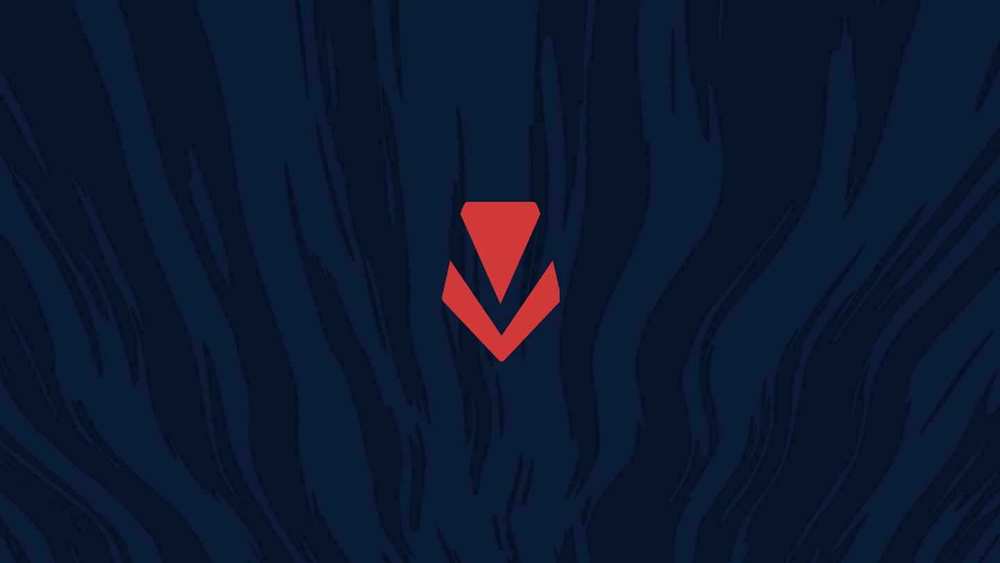 Offizielles Logo von Riot Vanguard, dem Anti-Cheat-System von Riot Games